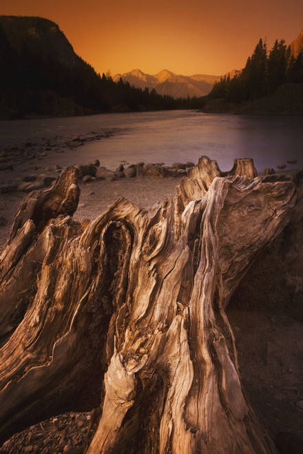 Banff, Alberta, Canada; Driftwood And A Mountain River At Sunset PosterPrint - Item # VARDPI1874342