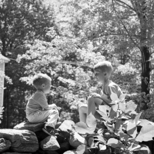Two boys in woods on rock talking Poster Print - Item # VARSAL25516242