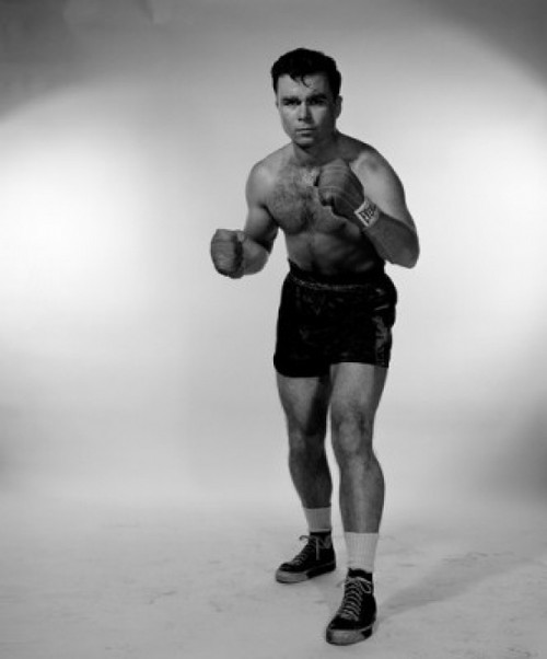 Studio portrait of male boxer Poster Print - Item # VARSAL255417610