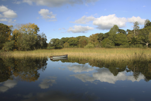 A Boat In The Water In Killarney National Park In Munster Region; County Kerry, Ireland PosterPrint - Item # VARDPI1898032
