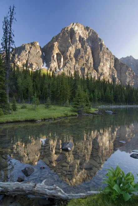 Taylor Lake, Banff National Park, Alberta, Canada PosterPrint - Item # VARDPI1835672