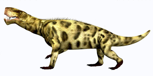 Inostrancevia was a carnivorous reptile that lived during the Permian Period of Russia Poster Print - Item # VARPSTCFR200377P