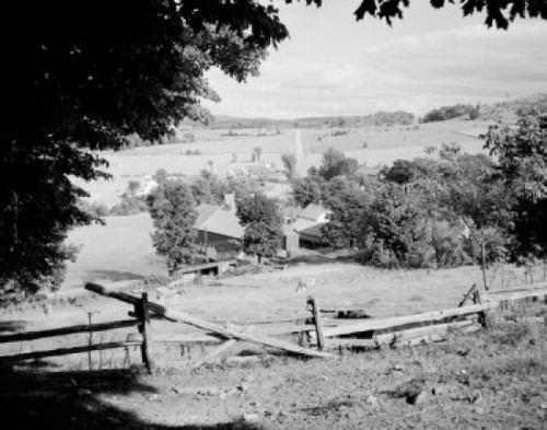 USA  Vermont  West Glover  farm with cows Poster Print - Item # VARSAL255424093