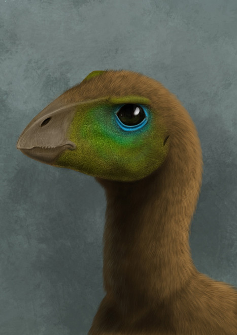 Hypsilophodon dinosaur portrait Poster Print - Item # VARPSTARZ100003P