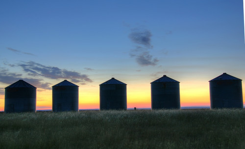 Silhouettes Of Silos At Sunrise, Val Marie, Saskatchewan PosterPrint - Item # VARDPI2026481