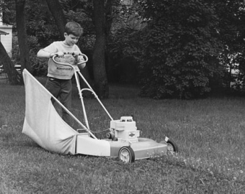 Boy mowing a lawn with a lawn mower Poster Print - Item # VARSAL25525741