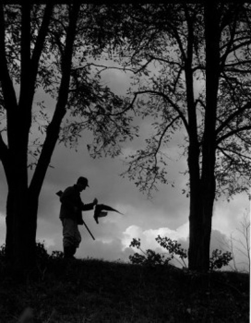 Silhouette of man with gun going for hunting Poster Print - Item # VARSAL255421925