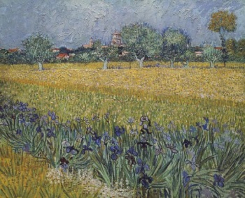 View of Arles with Irises  1888  Vincent van Gogh  Oil on Canvas  Van Gogh Museum  Amsterdam  Netherlands Poster Print - Item # VARSAL9003665