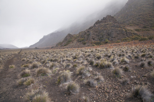 Hawaii, Maui, Haleakala, The hiking trail through the Volcanic Crater PosterPrint - Item # VARDPI2116469