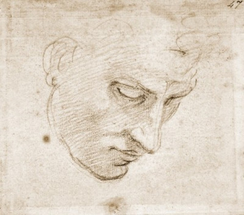 Sketch Of Face by Michelangelo Buonarroti  1475-1564  Italy  Florence  Galleria degli Uffizi Poster Print - Item # VARSAL3815397419