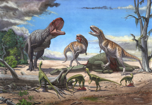 A large Rajasaurus bellows in an attempt to intimidate two Indosuchus dinosaurs away from a dead Titanosaurus. A pack of small Compsosuchus watch while they eat scraps of meat in the foreground Poster Print - Item # VARPSTSKR100154P