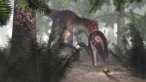 Utahraptor dinosaur hunting a gecko in a williamsonia forest with onychiopsis plants Poster Print - Item # VARPSTEDV600305P