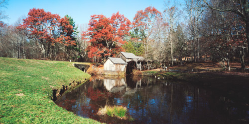 Trees around a watermill, Mabry Mill, Blue Ridge Parkway, Floyd County, Virginia, USA Poster Print - Item # VARPPI155180