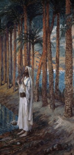 The Palm Tree  James Tissot  Jewish Museum  New York City Poster Print - Item # VARSAL999349