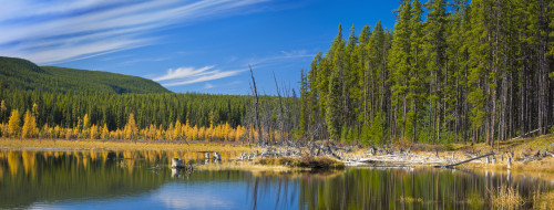 Wilmore Wilderness In The Fall, Alberta, Canada PosterPrint - Item # VARDPI1817272