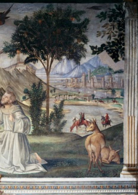Saint Francis Receives the Stigmata - Detail   Domenico Ghirlandaio  Sassetti Chapel  Santa Trinita  Florence  Italy Poster Print - Item # VARSAL263664