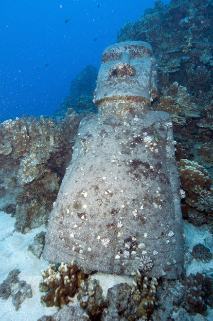 Sunken Moai, Easter Island, Chile Poster Print - Item # VARPSTMME400191U