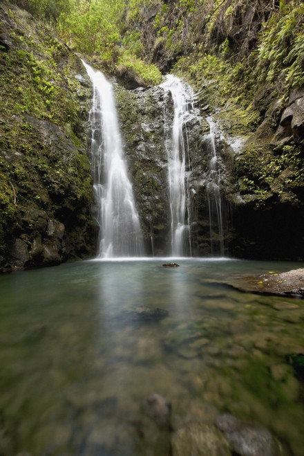 Hawaii, Maui, Makamakaole Gulch, Waihee Ridge Trail, Waterfall and pond. PosterPrint - Item # VARDPI2116657
