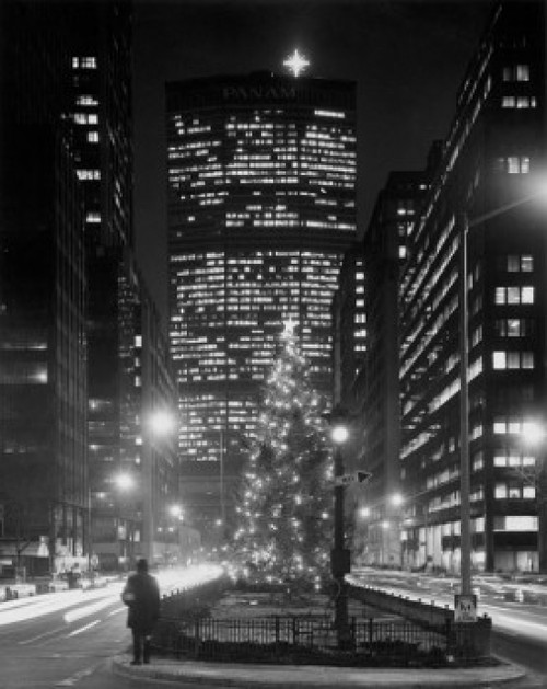 Skyscrapers lit up at night  Park Avenue  Manhattan  New York City  New York  USA Poster Print - Item # VARSAL25523771 Skyscrapers lit up at night  Park Avenue  Manhattan  New York City  New York  USA Poster Print - Item # VARSAL25523771