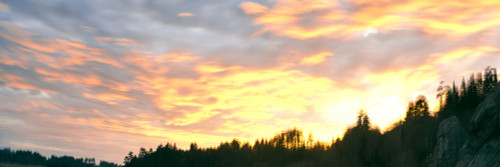 Clouds over trees at dusk, Trinidad, Humboldt County, California, USA Poster Print - Item # VARPPI168142