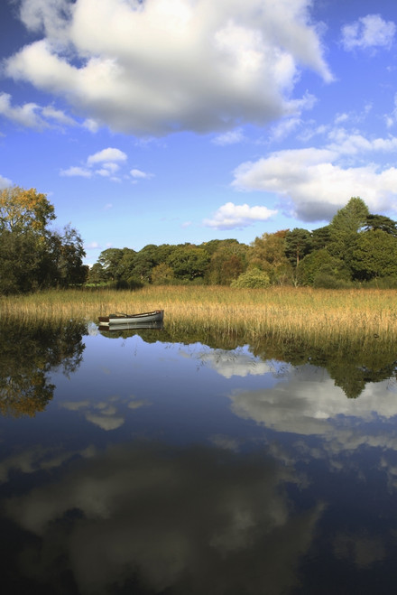 http://c328301.r1.cf1.rackcdn.com/DPI1898088.jpg