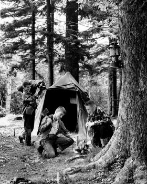 Three boys camping in forest Poster Print - Item # VARSAL25511748