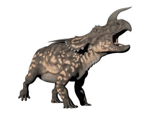 Einiosaurus dinosaur, white background Poster Print - Item # VARPSTEDV600055P