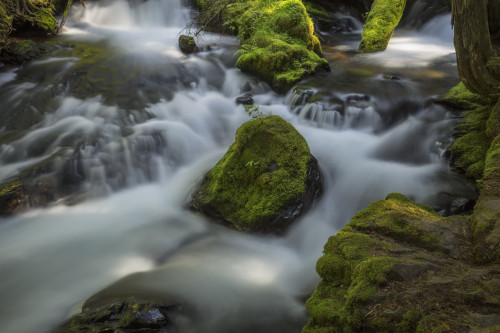 A portion of Panther Creek; Washington, United States of America PosterPrint - Item # VARDPI12281492