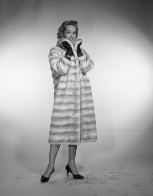 Portrait of elegant woman wearing fur Poster Print - Item # VARSAL255418083