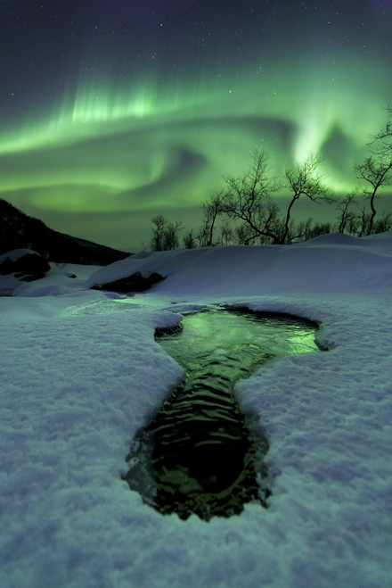 Aurora Borealis over a frozen river, Klubbfjellet Mountain, Nordland, Norway Poster Print - Item # VARPSTAHE100077S