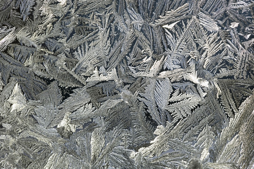 Frost Crystals On A Window; Calgary, Alberta, Canada PosterPrint