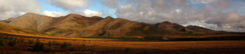 The Richardson Mountains At The Arctic Circle In Fall Colours, Demspter Highway, Yukon PosterPrint - Item # VARDPI2039030