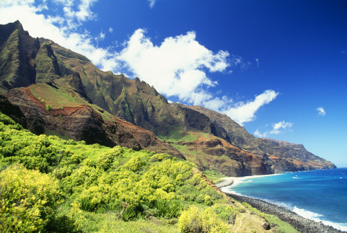 Hawaii, Kauai, Napali Coast, Kalalau Valley, Secluded Beach PosterPrint - Item # VARDPI1994953
