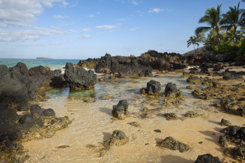Hawaii, Maui, Makena, Beautiful clear ocean among lava rock. PosterPrint - Item # VARDPI2116619