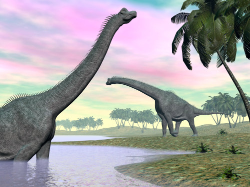 Two Brachiosaurus dinosaurs in landscape with water and palm trees Poster Print - Item # VARPSTEDV600019P