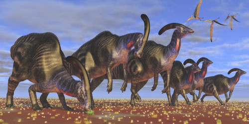 A flock of Pteranodon longiceps fly over a herd of Parasaurolophus dinosaurs as they look for better vegetation to eat Poster Print - Item # VARPSTCFR200276P