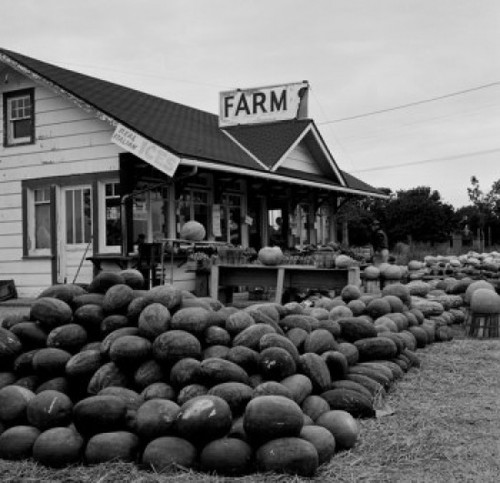 farmers Market for fruit and vegetables Poster Print