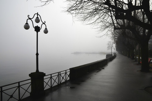 Lamp post and trees on a promenade along Lake Maggiore; Locarno, Ticino, Switzerland PosterPrint - Item # VARDPI2381241