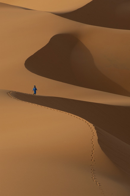 Morocco, Berber 'Blue man' walking across sand dunes in Erg Chebbi area; Sahara Desert near Merzouga PosterPrint - Item # VARDPI2297324
