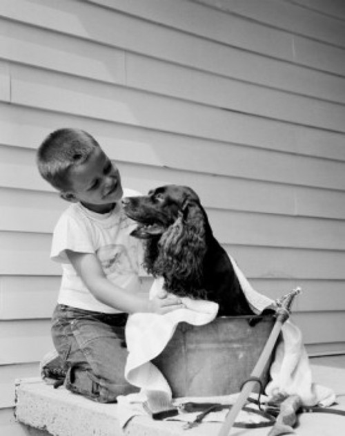 Boy washing dog in bowl Poster Print - Item # VARSAL255416441