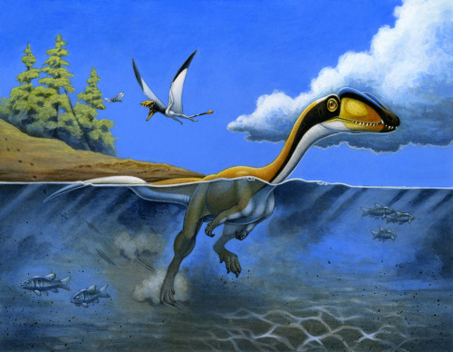 A Megapnosaurus dinosaur goes for a swim in a prehistoric lake Poster Print - Item # VARPSTHKY100010P