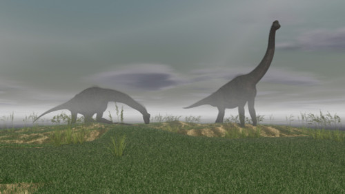 Two Brachiosaurus dinosaurs grazing in the mist Poster Print - Item # VARPSTKVA600010P
