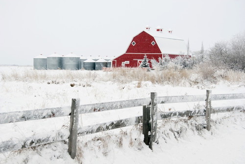 Alberta, Canada; Farm Yard With A Red Barn And Metal Grain Bins In Winter PosterPrint - Item # VARDPI1866842