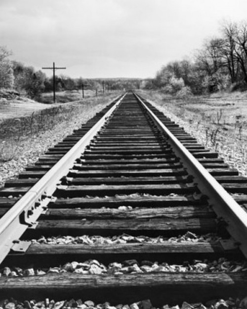 Railroad track passing through a landscape Poster Print - Item # VARSAL25529276