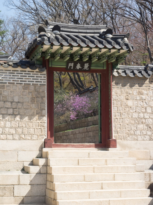 Steps at entrance of Changdeokgung Palace, Seoul, South Korea Poster Print - Item # VARPPI171274