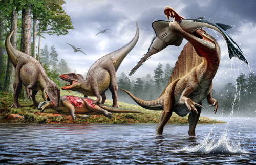 A Spinosaurus hunting an Onchopristis while two Carcharodontosaurus eat the carcass Ouranosaurus in the background. Poster Print - Item # VARPSTMHA600016P