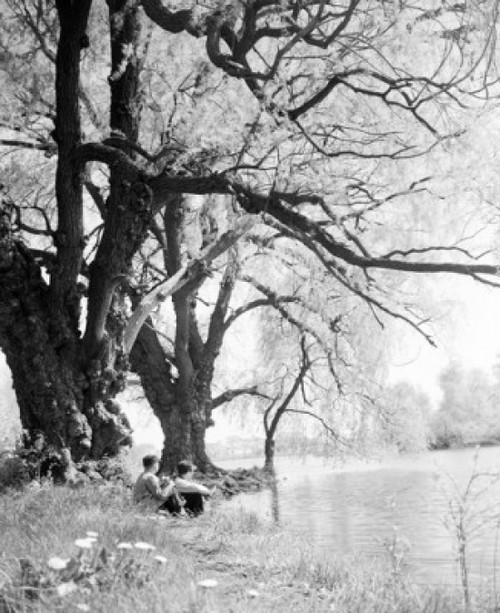 Boys sitting on riverbank under big tree Poster Print - Item # VARSAL25516229
