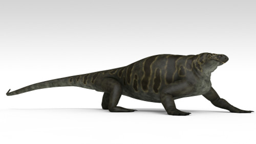 Cotylorhynchus, a large synapsid of the Early Permian period Poster Print - Item # VARPSTKVA600725P