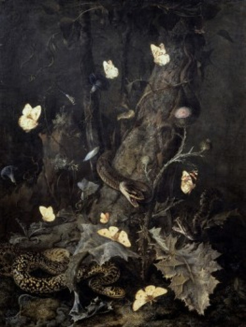 Snakes and Butterflies   17th C.   Otto Marseus van Schrieck   Musee du Louvre  Paris Poster Print - Item # VARSAL11582167