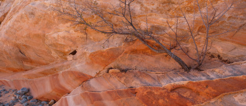 Sandstone patterns, Valley of Fire State Park, Nevada, USA Poster Print - Item # VARPPI167604